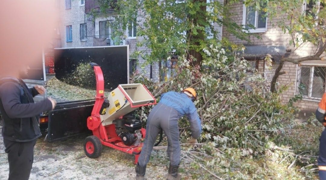 Уборка участков спил деревьев веток корчевание пней демонтаж вывоз