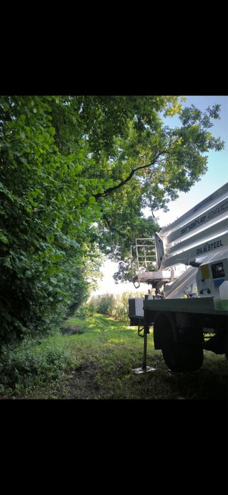 Wycinka drzew, pielęgnacja drzew, odśnieżanie dachu