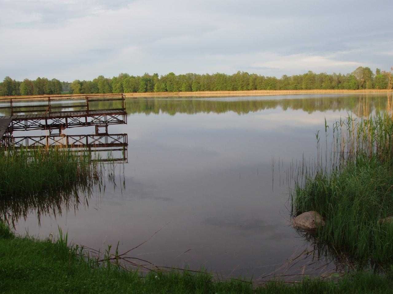 Uroczy domek z kominkiem w otoczeniu lasu i jeziora