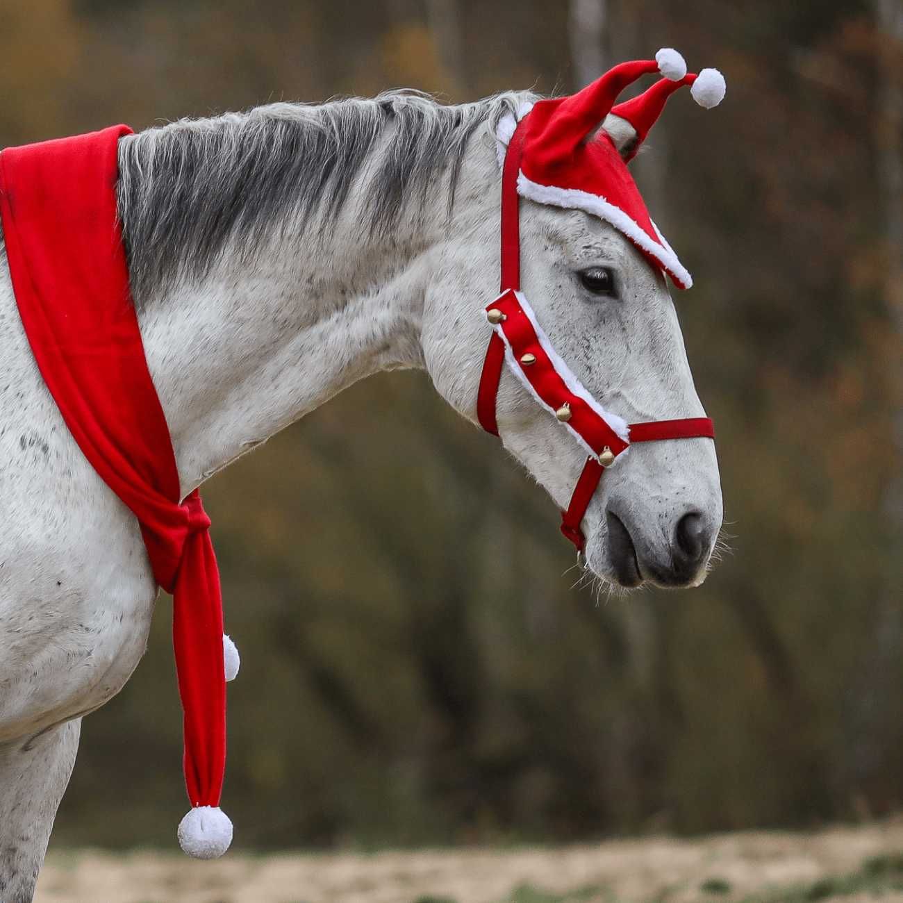 Nauszniki York świąteczne z pomponami Pony