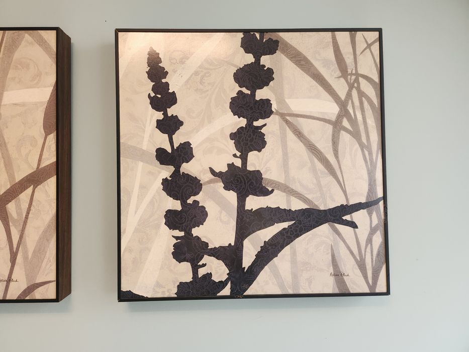 Obrazy  Melisa Pluch