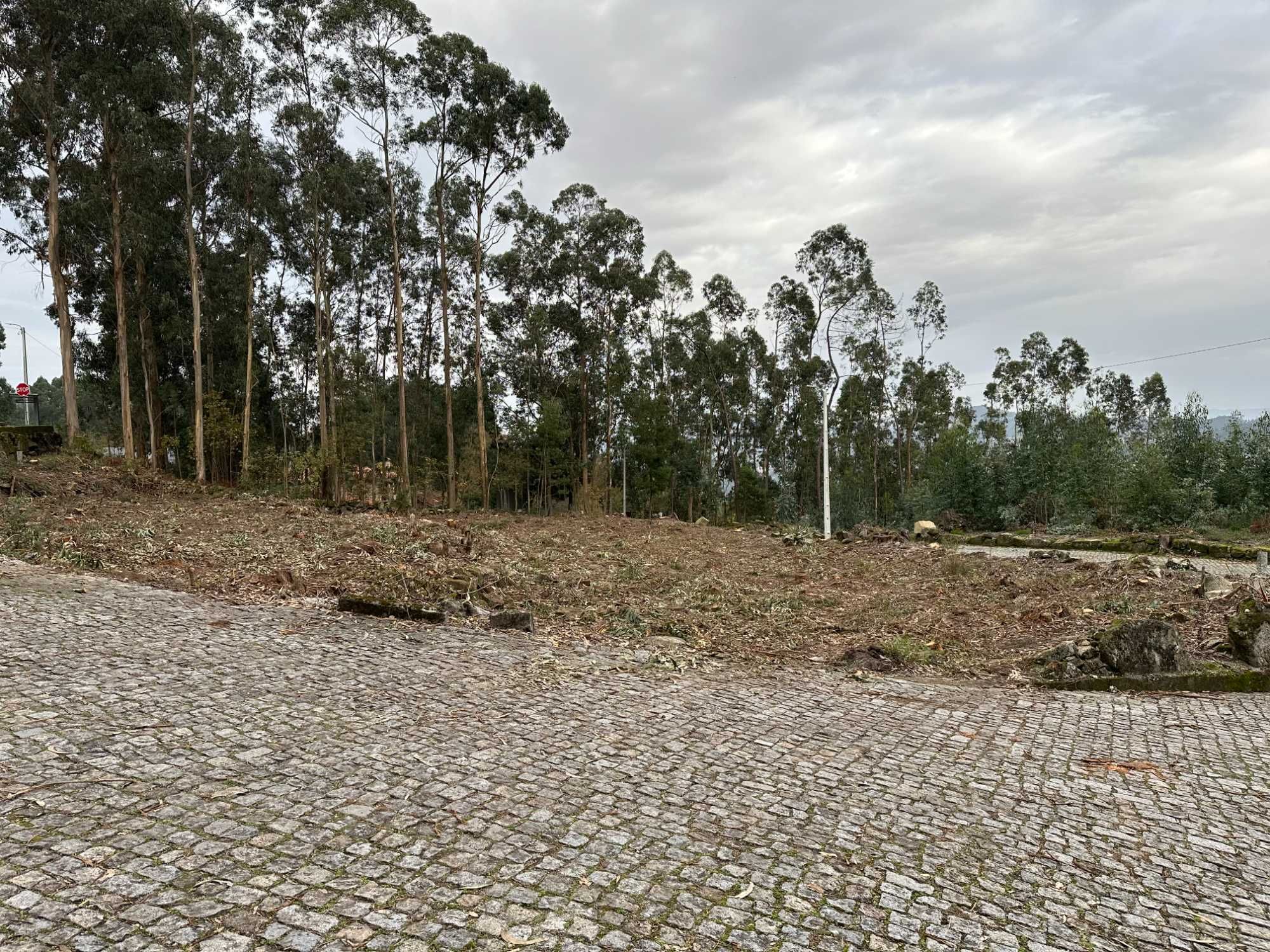 Terreno urbano para construção