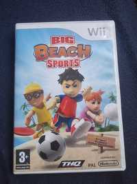 Big Beach Sport gra na Nintendo Wii