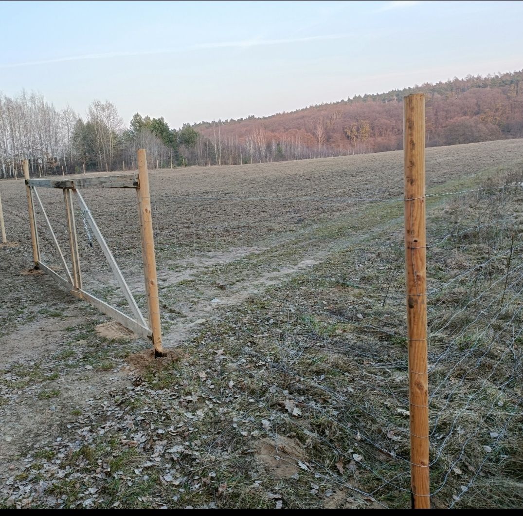 Ogrodzenie leśne tymczasowe budowlane