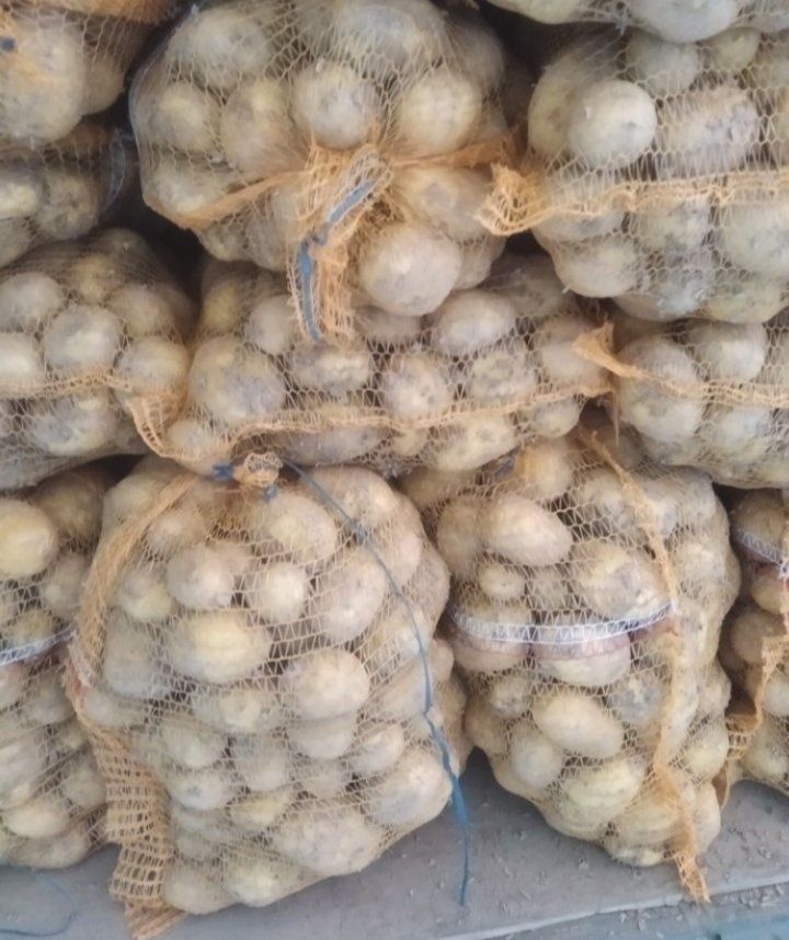 Ziemniaki jadalne