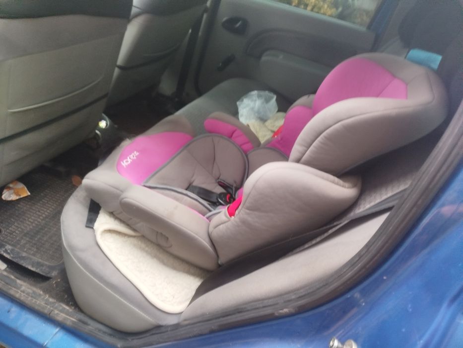 Логан на новій зимовій ризині