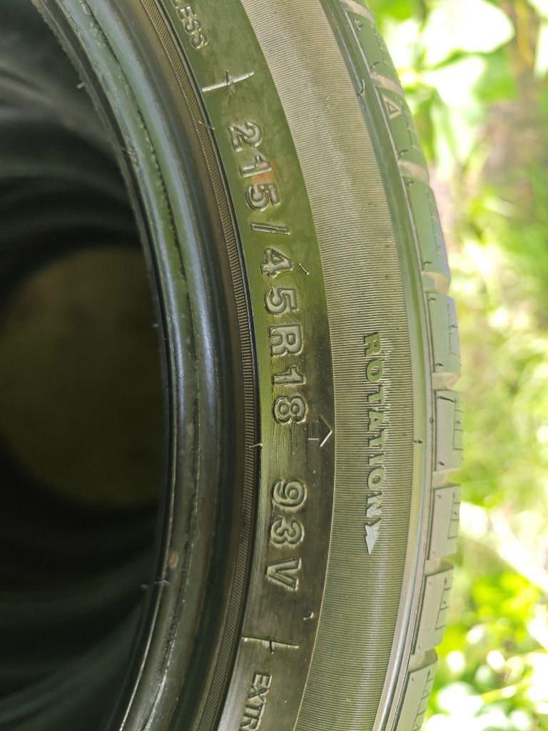 Шини 215/45 r 18