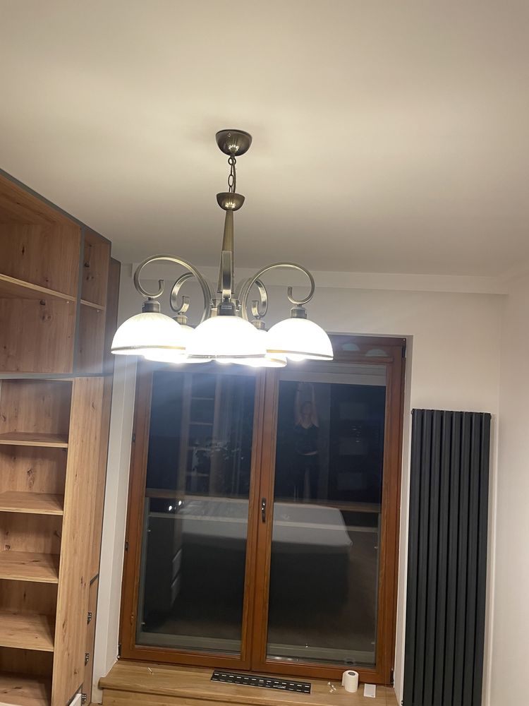 Żylandor bialy z elementami zlotego