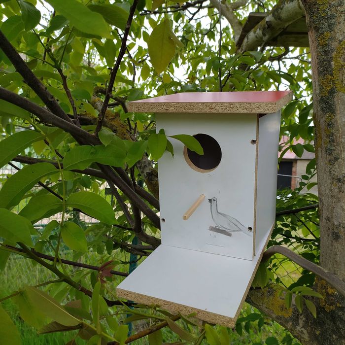 Domek dla ptaków do ogrodu spory
