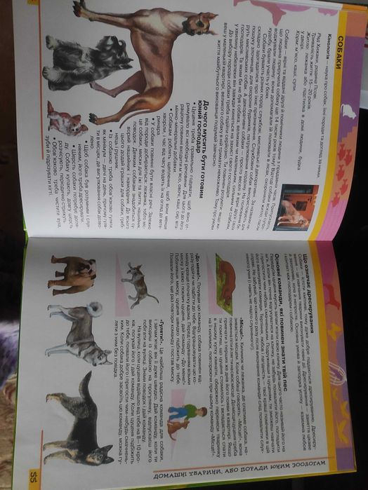 Енциклопедія для хлопчиків