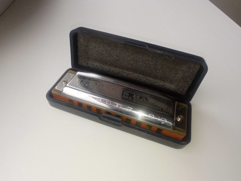 Hohner blues harp Cm