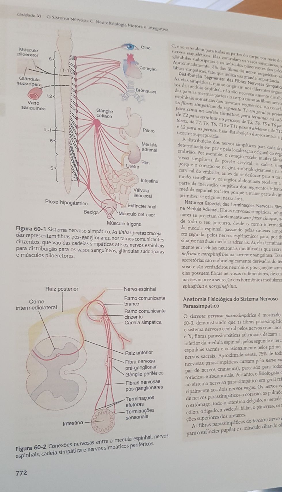 Tratado de Fisiologia Médica Guyton & Hall