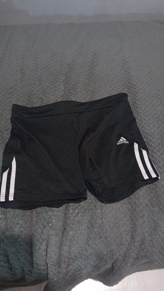 krótkie spodenki adidas