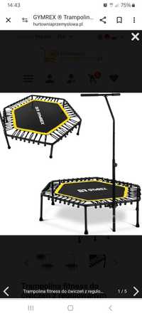 Trampolina fitness