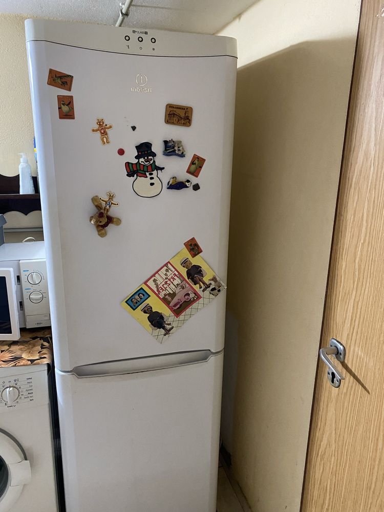 Półki lodówki Indesit