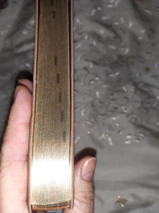 Планер "BINARIO GUSTO" Leo planner діловий блокнот із закладкою