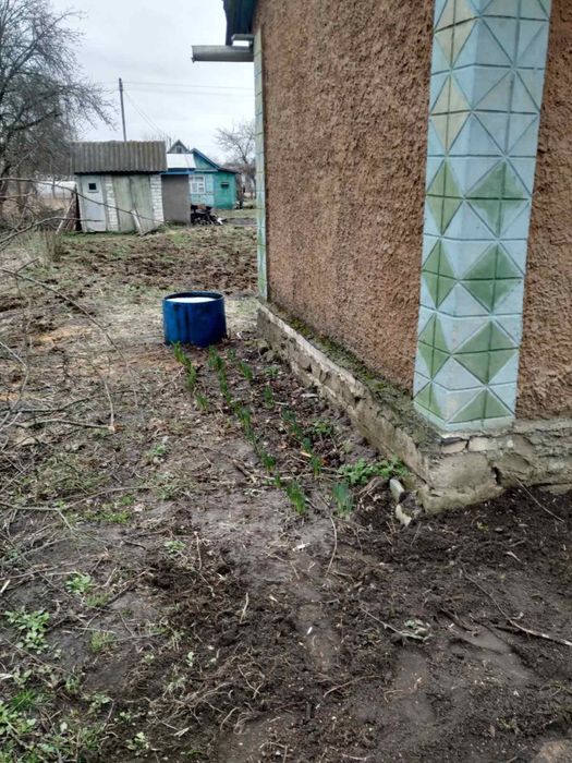 сад 5 массив  при вьезде цена договорная по телефону