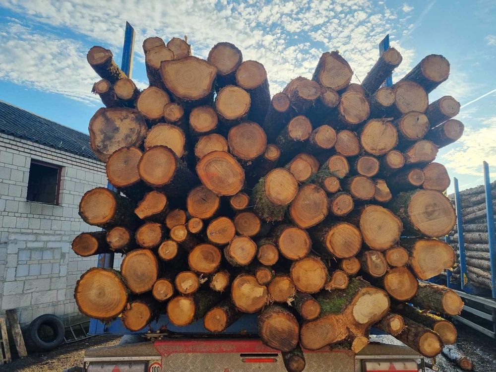 Drewno opalowe dostawa gratis grab buk dab i inne