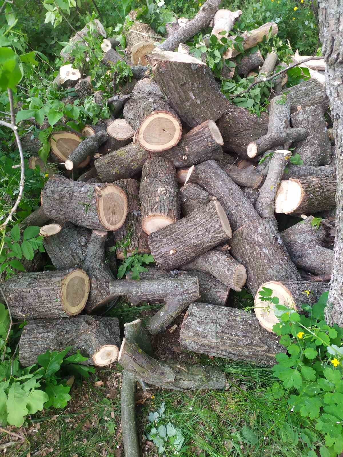 Продам дрова ,вся Украина