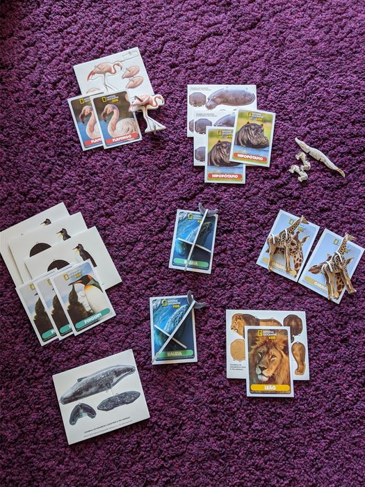 Cartas e animais 3D Auchan - Wildlife Explorer NationalGeographic Kids