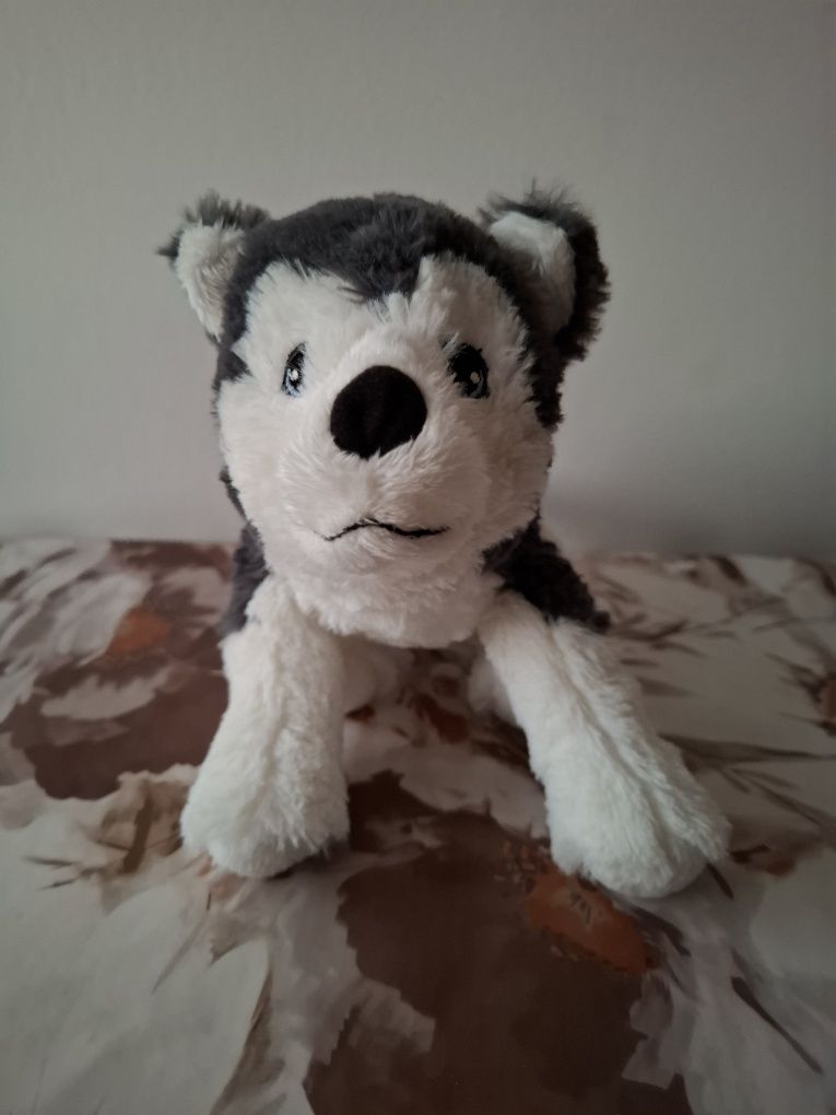 Maskotka pies husky