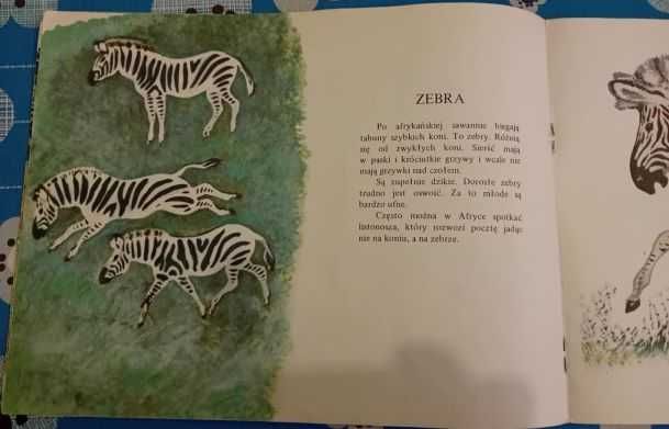 Czaruszyn Eugeniusz - Jak radzą sobie zwierzęta