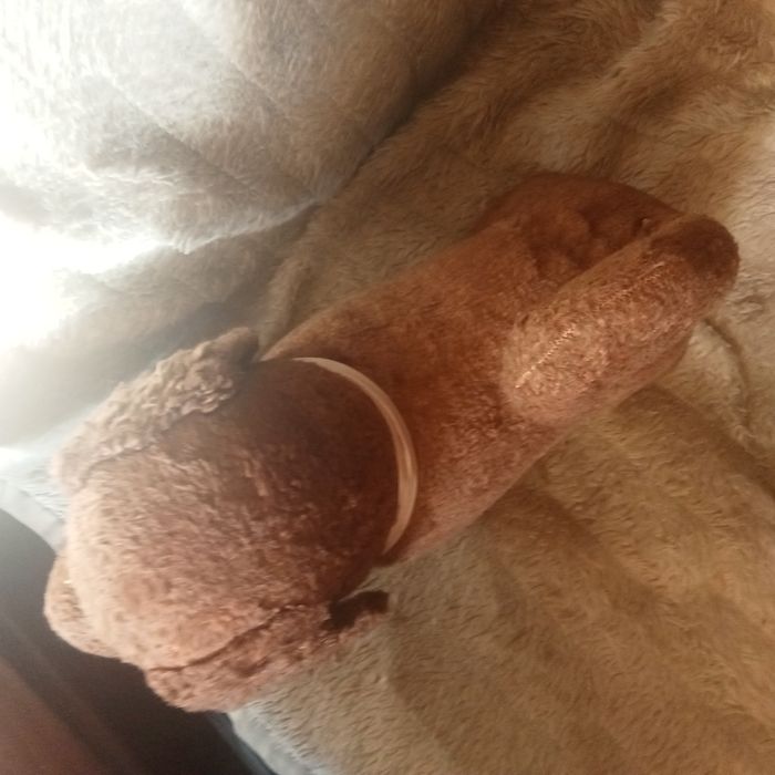 Stara zabawka Pies piesek trociniak lata 40ste XXw. Oryginał ANTYK