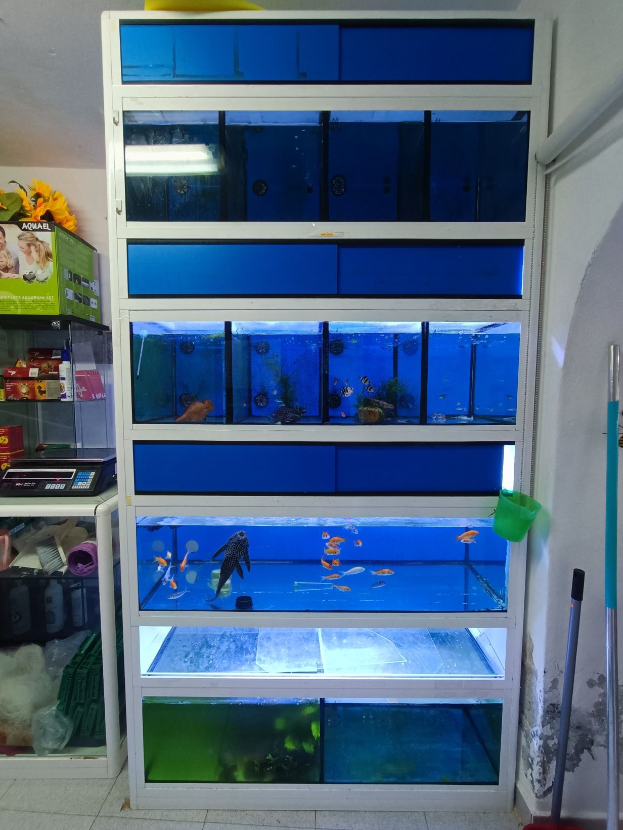 Bateria de Aquários 230x120x60cm