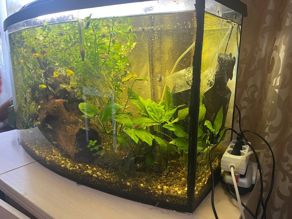 Аквариум 100 литров в хорошем состоянии с налаженной биосистемой