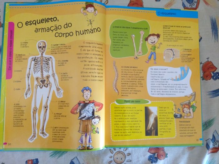 "À descoberta do corpo humano" - livro