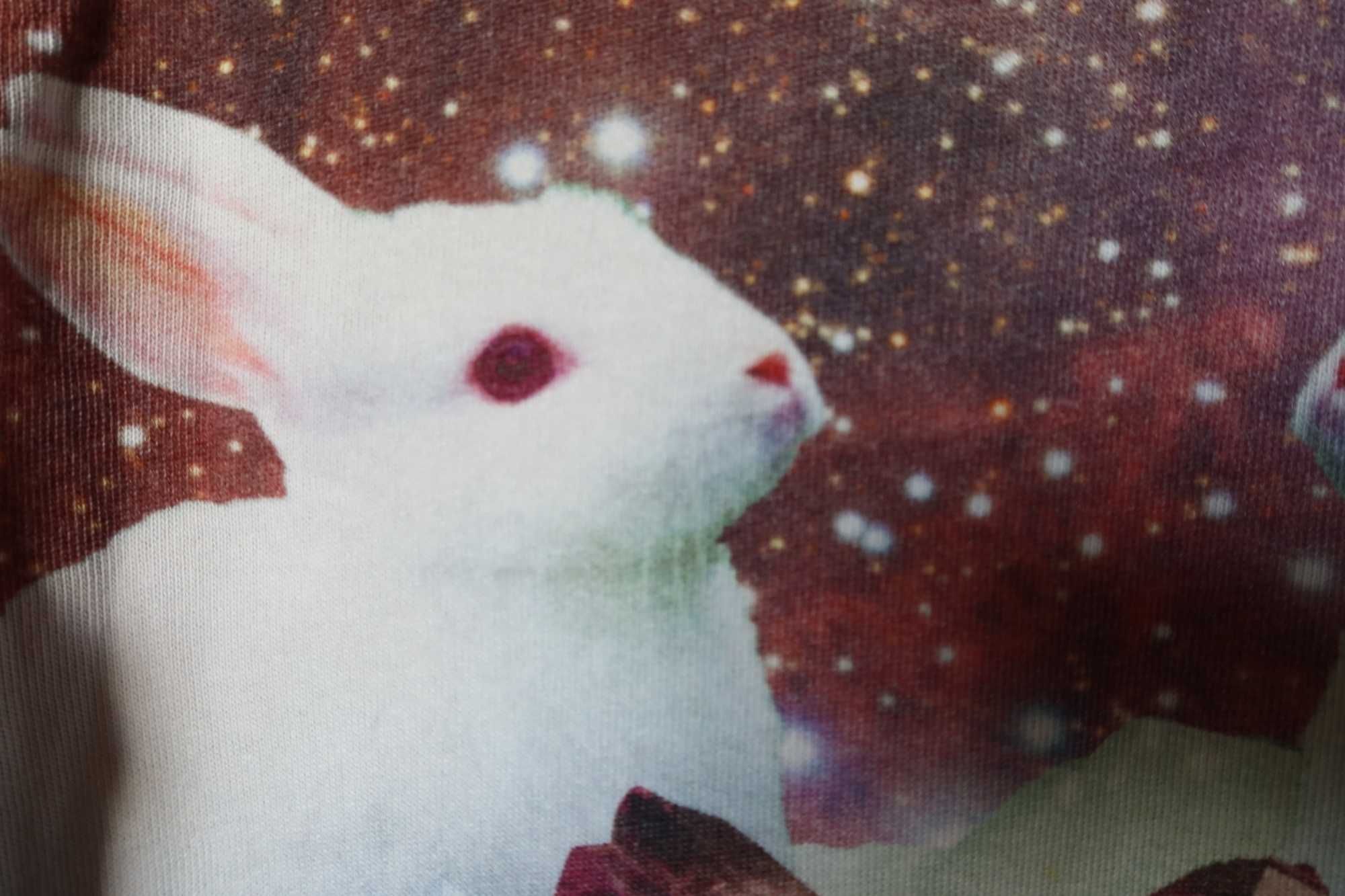 Bluza MOLO 128 szary melanż króliki zajączki zające białe zwierzęca