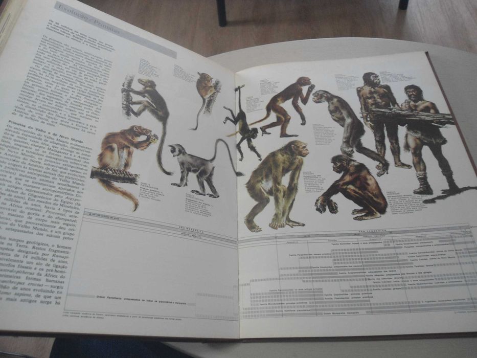 Animais da Terra das SRD