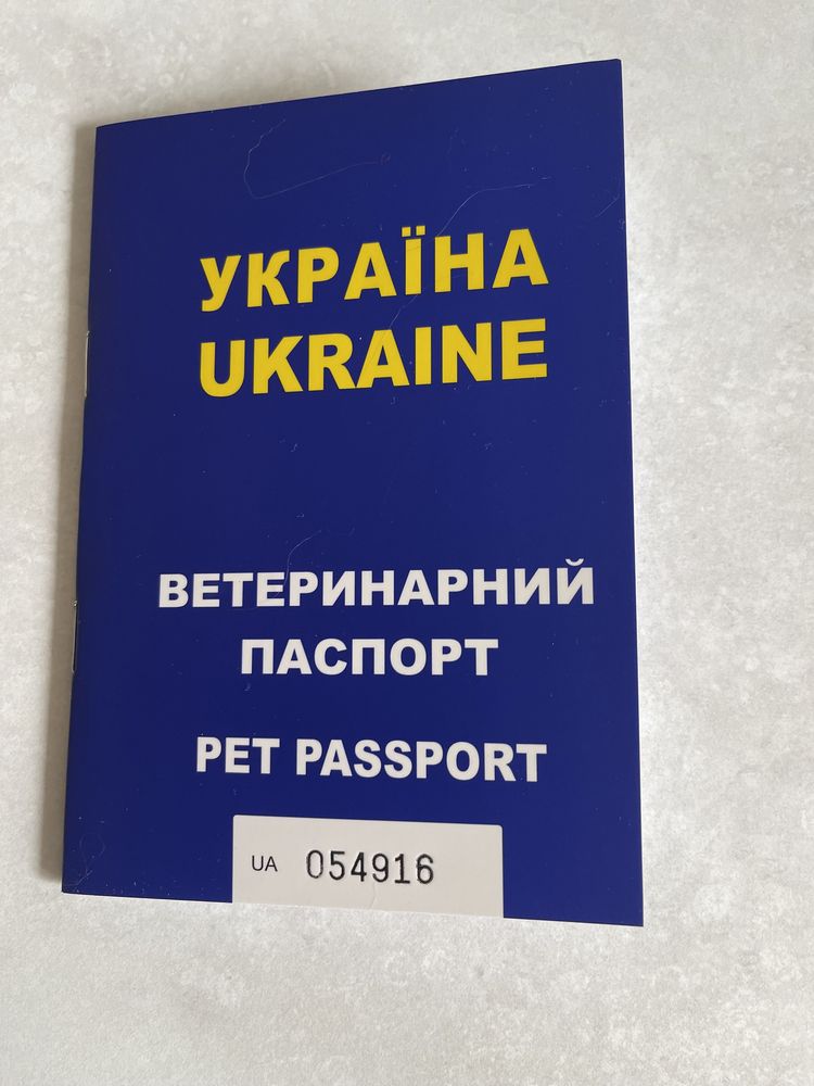 Чип и ветеринарный паспорт для собак, котов( набор).