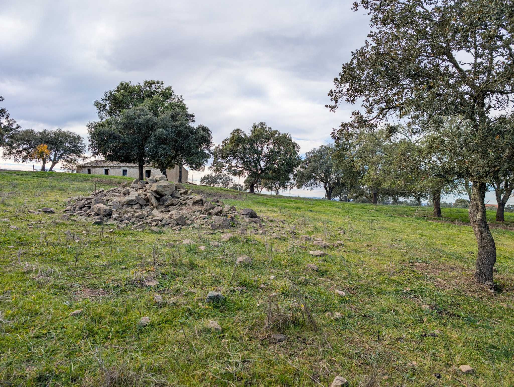 Propriedade única com a possibilidade de construção até 500 m²