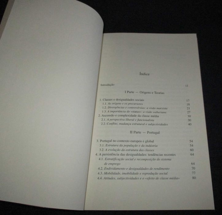 Livro A Classe Média Ascensão e Declínio Elísio Estanque FFMS