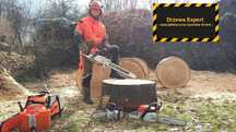 Wycinanie pielęgnacja drzew wycinka arborysta Wrocław tel 604.122.123