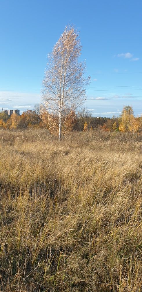 Пропозиція, інвестиція (новий масив). Ділянка з видом на річку!