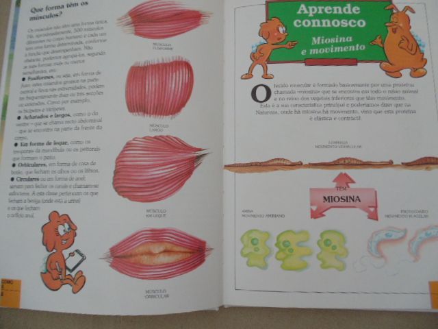 Era uma vez.. o corpo humano