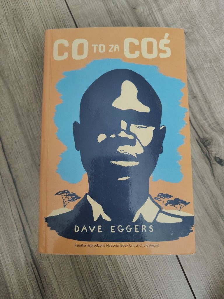 Dave Eggers - Co to za coś