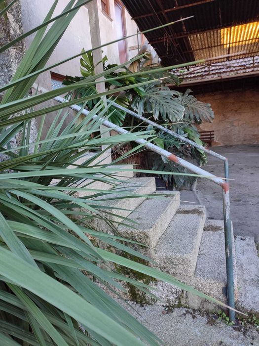 Quintinha Negreiros com terreno de 3900m2 de construção