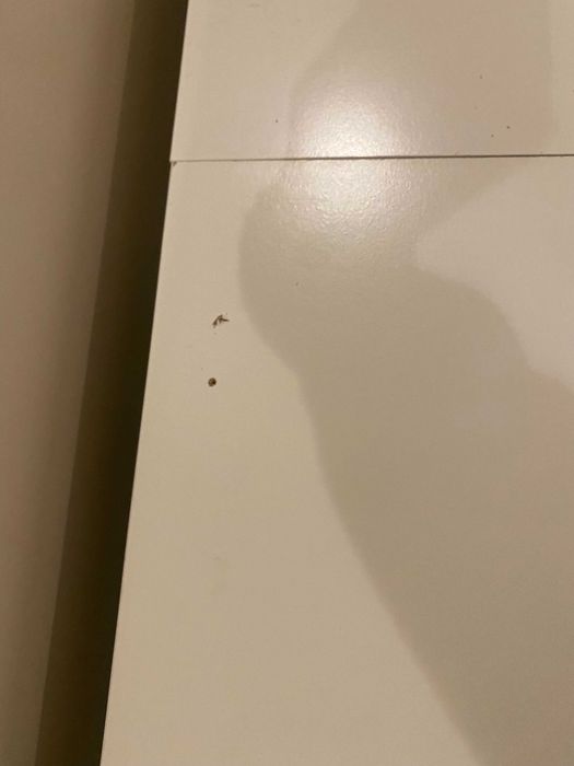 Regał Billy Ikea stan bardzo dobry