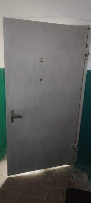 Продам двері ,металеві 101см на 203,короб 50