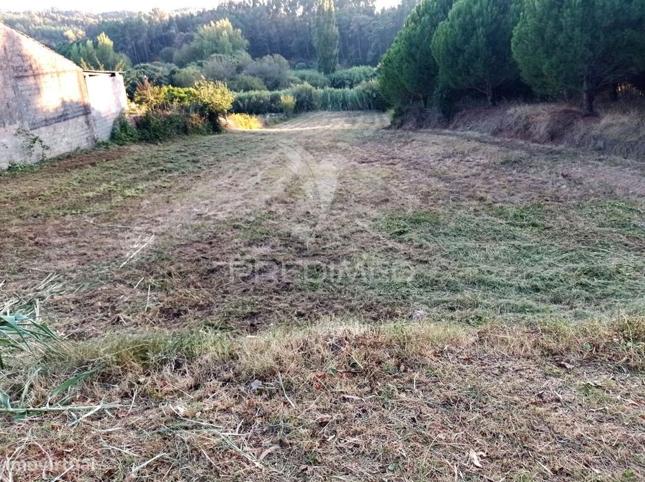 Terreno Alcobertas