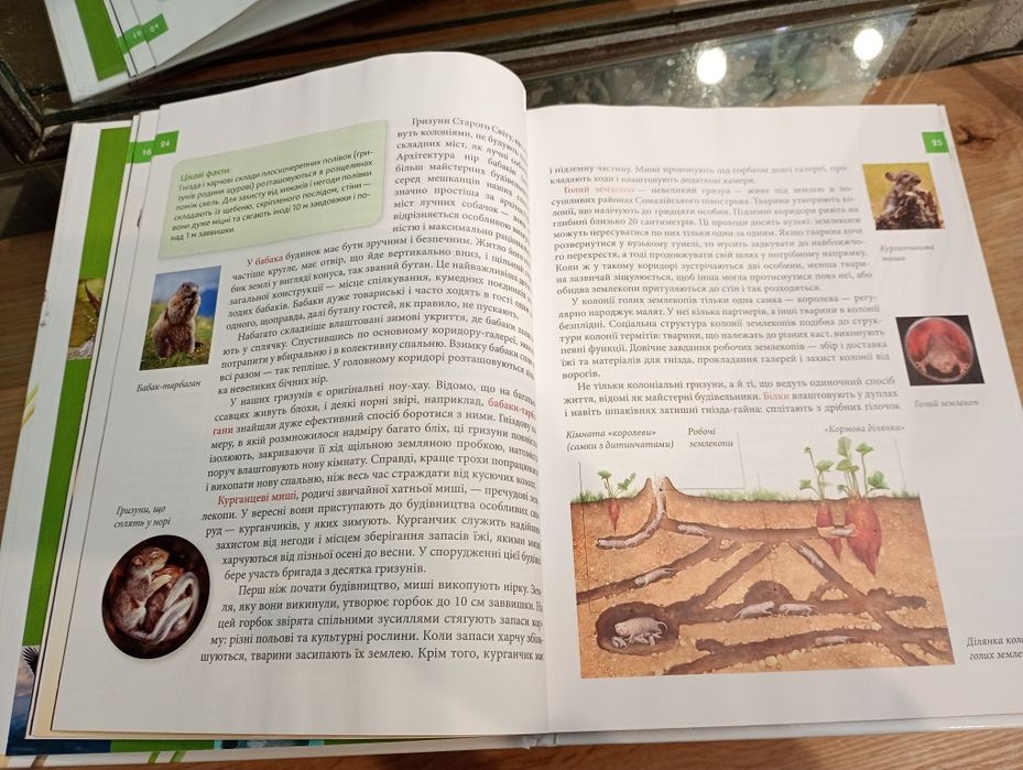 Енциклопедія Тварини - Винахідники та будівельники