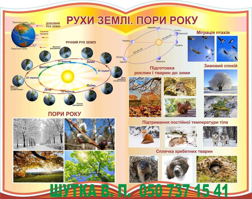 стенди для школи