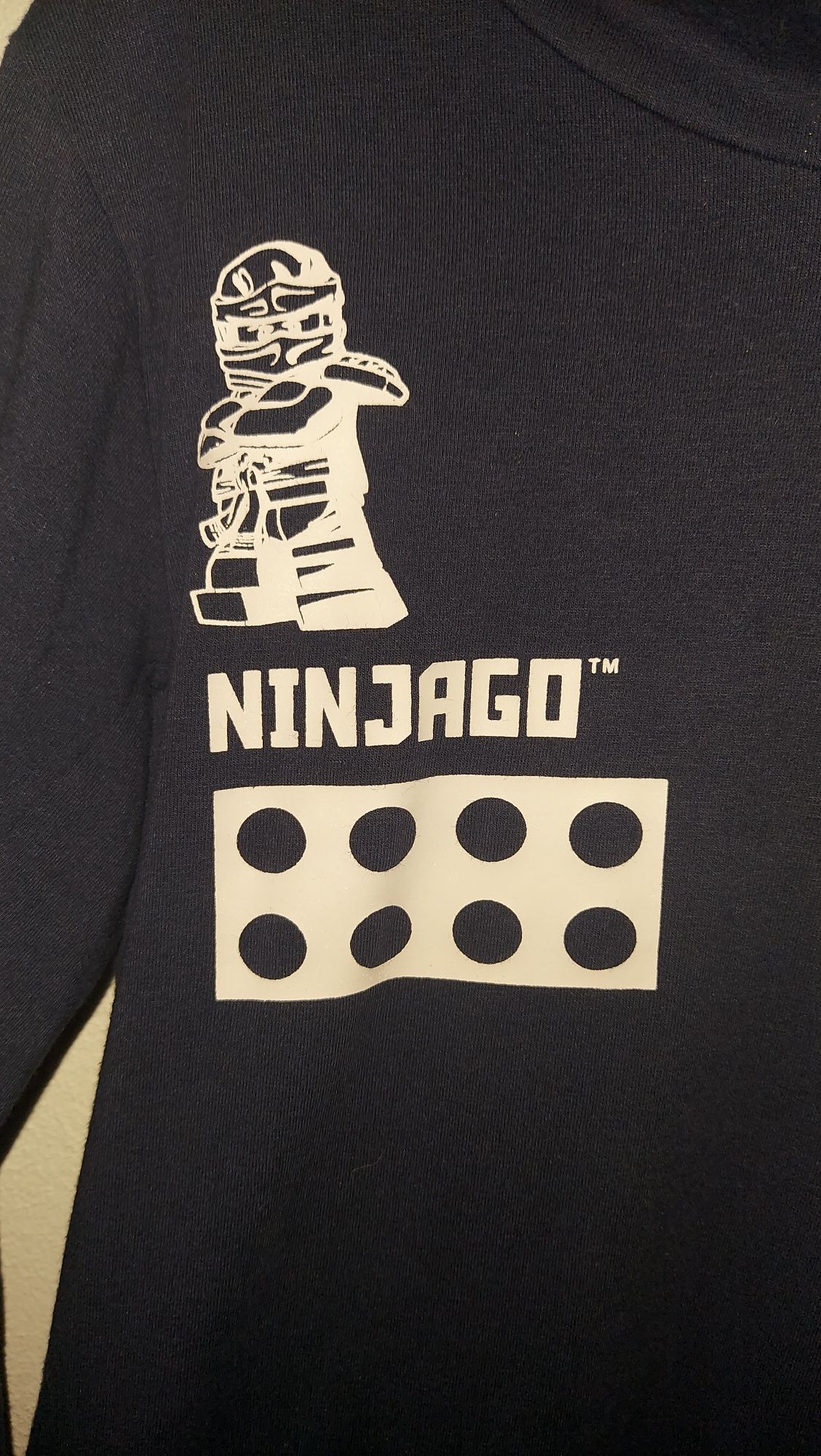 Camisola com capuz Lego wear - Ninjago 9 anos
Se comprar mais do que u