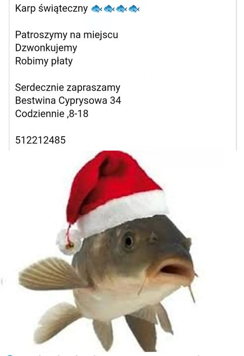 Karp konsumpcyjny