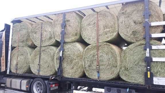 siano okrągłe bele, duża kostka oraz mała kostka TRANSPORT CAŁA POLSKA