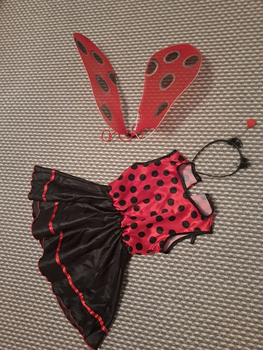 Stroj biedronki i dodatkowo spódniczka