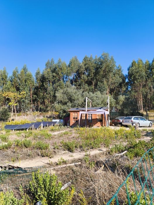 Terreno com abrigo de madeira